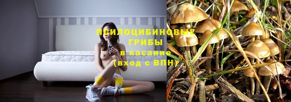 прущая мука Абаза