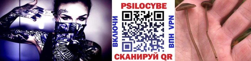 купить наркоту  KRAKEN ссылка  Галлюциногенные грибы мухоморы  Саратов 